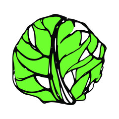 vegetable, vegan, doodle, menu, health, freshness, kitchen, broccoli, drawing, cartoon, element, potato, poster, textile, healthy lifestyle, wallpaper, healthy eating, veggie, white, eco, farming, gra