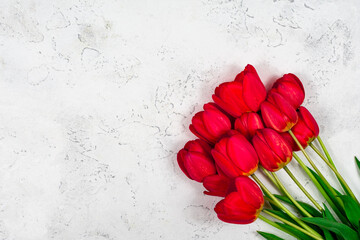 Red tulips on a white concrete background. Mothers Day. March 8. Place for an inscription. The...