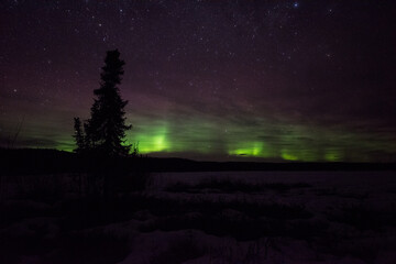 Northern Lights or Aurora Borealis in Alaska