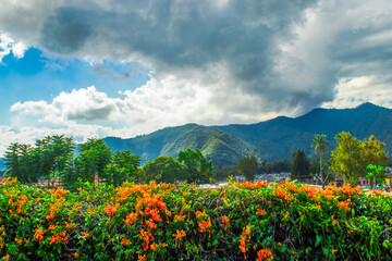beautiful view of the mountains and a sky with dark clouds, from a terrace with a garden of orange flowers in the middle of the vegetation.
