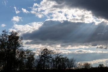 Obraz premium Clouds