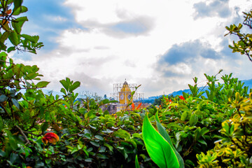 a beautiful work of architecture in the process of being remodeled, seen from a terrace-restaurant with a garden on a sunny day. Old catholic church, with cupola, surrounded by scaffolding to be repai