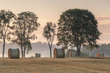 View of the Masurian fields.