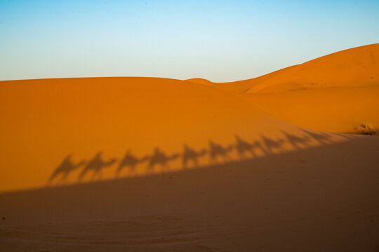 Shadows of tourist in a caravan riding dromedaries in the Sahara desert sand dunes near Merzouga. High quality photo