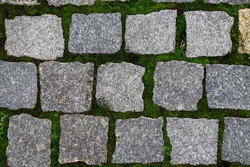 paving slabs on the background of a green lawn