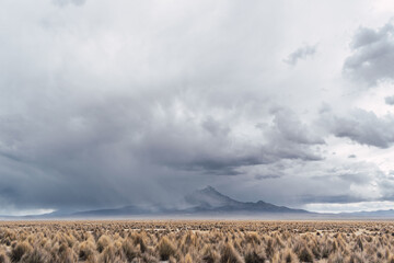 Sajama National Park surrounded by snow-capped mountains in the rainy season with black clouds and sunshine surrounded by dry vegetation and coffee in the plains of Bolivia