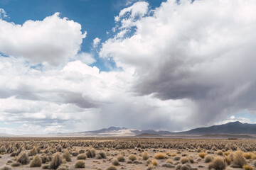 Sajama National Park surrounded by snow-capped mountains in the rainy season with black clouds and sunshine surrounded by dry vegetation and coffee in the plains of Bolivia