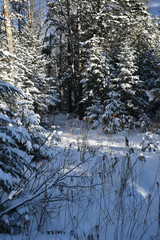 Mont Ham 2 Au 8 Janvier 2022