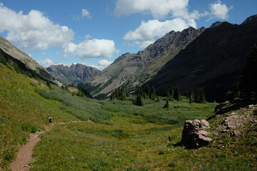 landscape in the summer