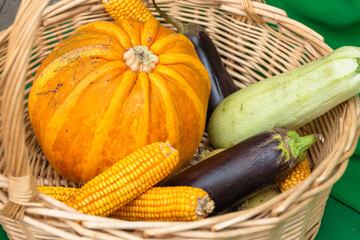 Vegetables in a wicker basket, corn, white and black zucchini, pumpkin.
