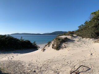 sand dunes in alghero, sardinia, italy