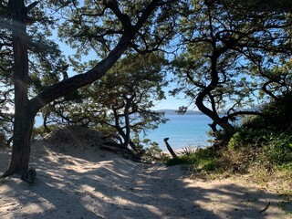 sand dunes in alghero, sardinia, italy