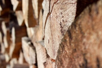 Close-up of stack of firewood