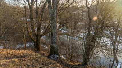 Naklejka premium A Small River In A Winter Landscape. Winter Landscape with Small River, trees and first snow. Nature concepts.