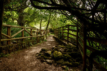 Parque nacional de Monfragüe en Extremadura España en primavera dehesas y paisaje natural