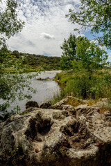 Naklejka na ściany i meble Espacio natural de interés ornitológico ZEC Río Almonte en la Red Natura de Extremadura. Río natural con vegetación de ribera y encinar en dehesa.