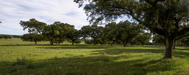 Parque nacional de Monfragüe en Extremadura España en primavera dehesas y paisaje natural