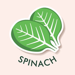 Flat illustration of spinach isolated on background. Simple icon for menu, smoothie recipes. Sticker object