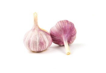 Garlic closeup isolated on white background. 