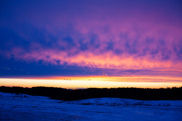 winter landscape: snow and ice in field, pink colorful sunset