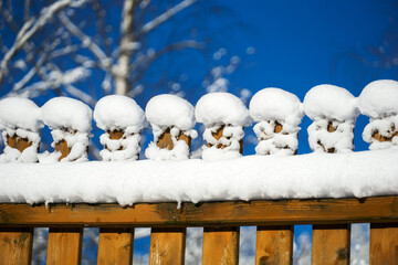 Fresh snow fence - 480454562