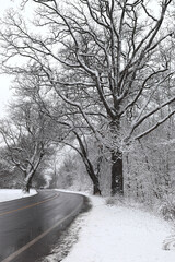 Winter Scene - Snowy road conditions in winter