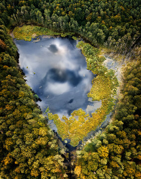 Bory Tucholskie Lake