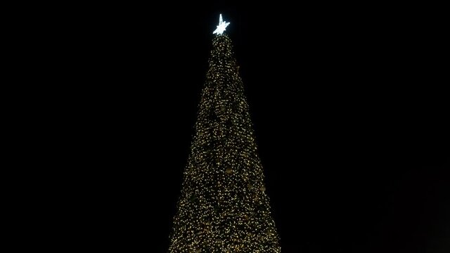 Moving around a large outdoor Christmas tree with Christmas tree toys and a star on the peak. The Christmas tree sparkles with yellow lights of garlands. New Year's paraphernalia and decoration