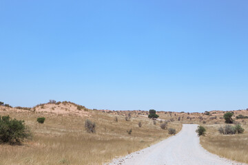 Dirt road in the Kgalagadi