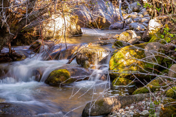 A scene of a flowing mountain stream.