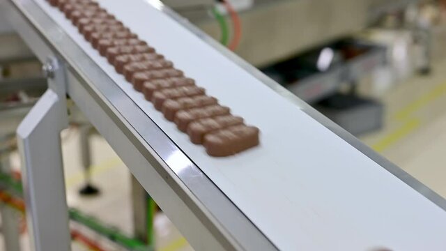 Conveyor with passing chocolate bars. Chocolate Factory.
