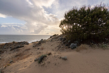 Mazagon beach, in the province of Huelva, Spain. One of the most beautiful beaches in Spain. Concept of going to the most beautiful places on vacation.