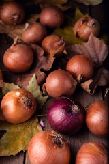 Freshly harvested onions of different types and sizes on a wooden table. High quality photo