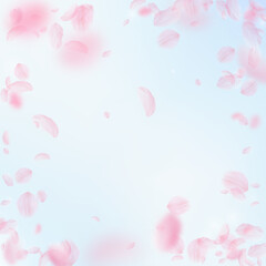 Sakura petals falling down. Romantic pink flowers vignette. Flying petals on blue sky square background. Love, romance concept. Enchanting wedding invitation.