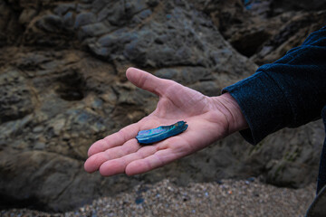 Glass Beach in Fort Braggs California