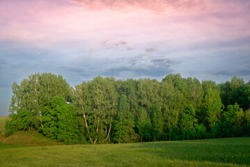 Fototapeta na wymiar Green forest and beautiful cloud.