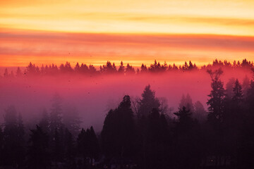 Obraz premium Sunrise over Lake Washington results in a colorful sky and reflection on the water, with foggy forest in the foreground
