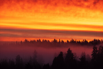 Sunrise over Lake Washington results in a colorful sky and reflection on the water, with foggy forest in the foreground