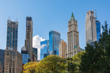 The Woolworth Building and other skyscrapers of Lower Manhattan.