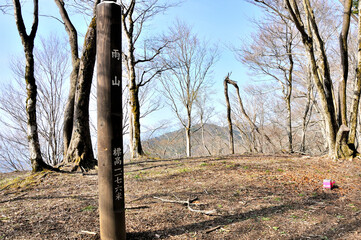 Fototapeta premium 春山の樹走路 丹沢山地の雨山山頂 
