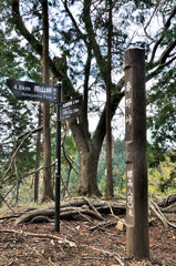 春の丹沢山地　檜岳山稜の秦野峠
