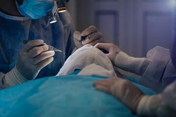 teamwork in the operating room, surgeon's assistant with the surgeon operate. hands hold surgical instruments.