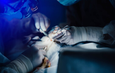 surgical operation, hands of a surgeon and an assistant with tools.