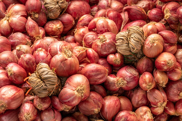Shallots or Red Onion, Asian herbs and cooking ingredients on wooden background.