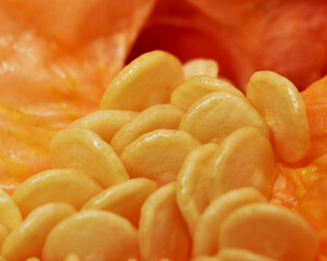    Yellow Seeds inside of a Red Pepper     
