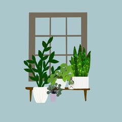 illustration of ornamental plants near the window, can be used as decoration, background or something else