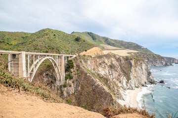 Flowers by Bixby Bridge Along the Pacific Coast Highway in California