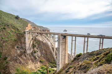 Flowers by Bixby Bridge Along the Pacific Coast Highway in California