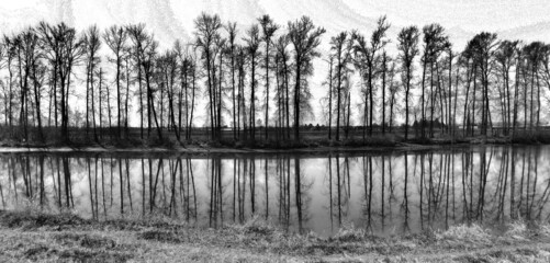 Trees reflecting in the calm pond in Black and White