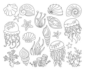 Seashells outline doodle set. Ocean marine shell, starfish, spiral mollusk seaweed, conch and jellyfish. Tropical under water design elements flat hand drawn sea shells. Isolated vector illustration